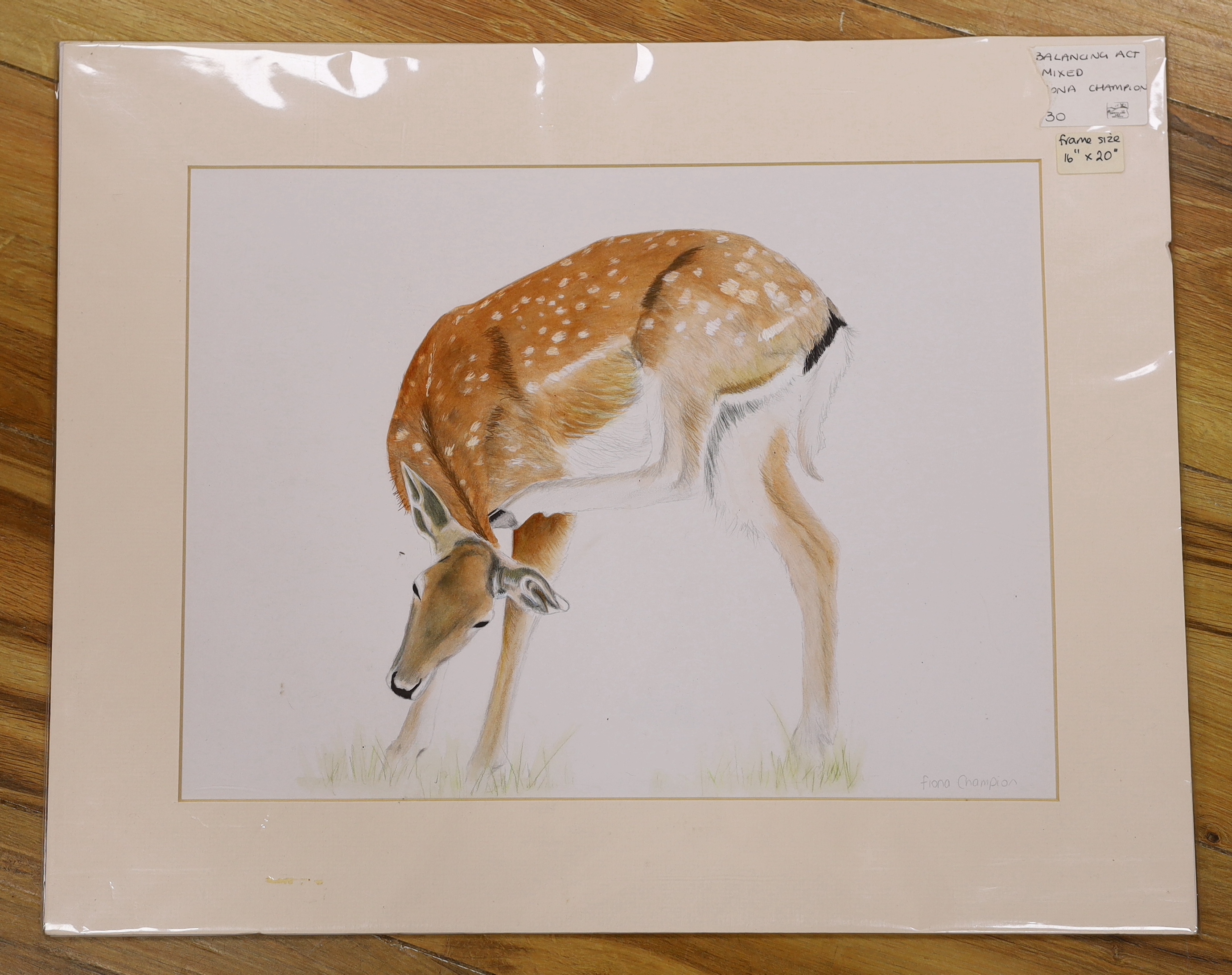 Fiona Champion (Contemporary), watercolour and pencil, ‘Balancing act’, signed, mounted, unframed, 39cm x 29cm